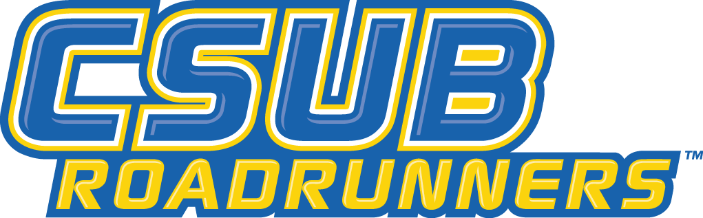 CSU Bakersfield Roadrunners 2006-Pres Wordmark Logo v3 diy iron on heat transfer
